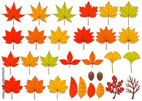 紅葉をイメージした落ち葉や木の実のイラストのセット_主線あり
