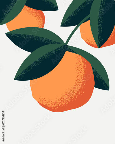 Orange poster, banner, fruit, diet cover