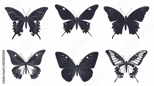 Butterfly collection,Butterfly Vector Silhouettes. Decorative Insect Collection.