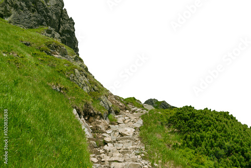 Canvas Print Stone path in the mountains