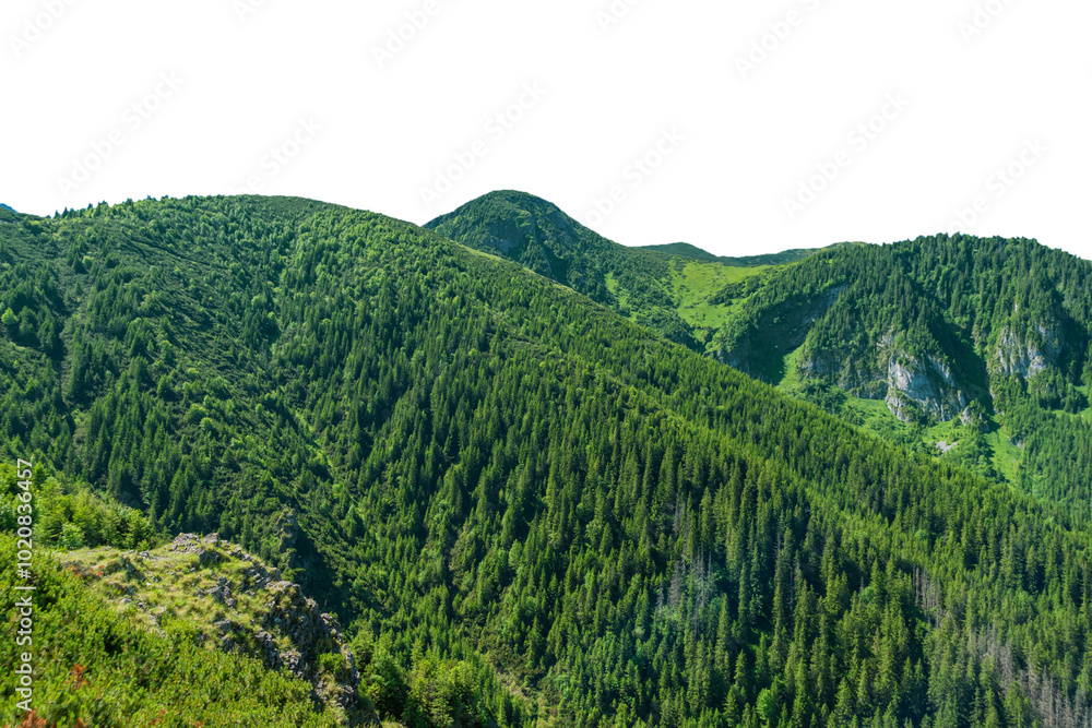 Obraz premium Beautiful summer landscape in the Tatra Mountains, Poland. Isolated object.