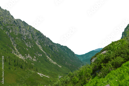View of the mountain valley. Roztoka Valley. Beautiful summer landscape in the Tatra Mountains, Poland. Isolated object.
