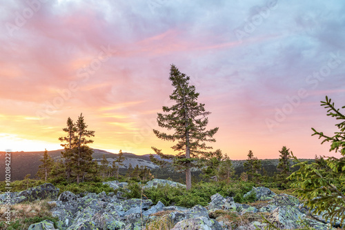 sunrise in the mountains