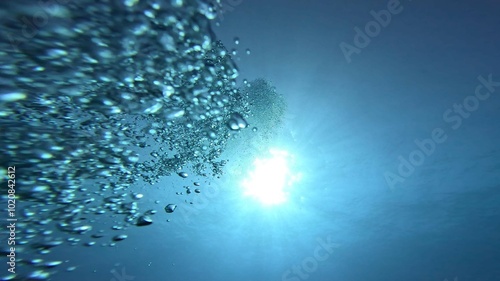 Obraz na plátně Immersione Tenerife
