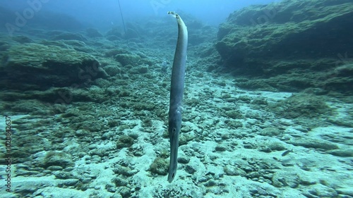Obraz na plátně Immersione Tenerife