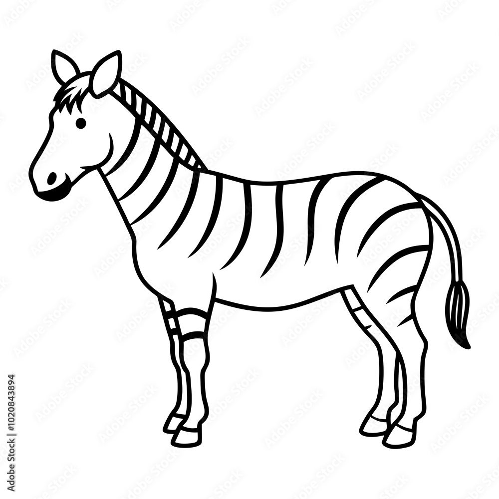 Zebra line art vector illustration Zebra line art vector illustration