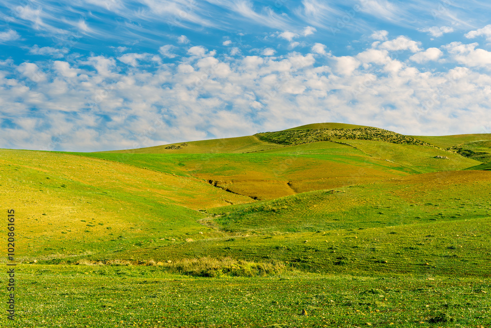 panoramic farmland landscape with green spring field , salad and yellow hills, garden and grassland and beautiful cloudy sky. panoramic farmland landscape with green spring field , salad and yellow hills, garden and grassland and beautiful cloudy sky.