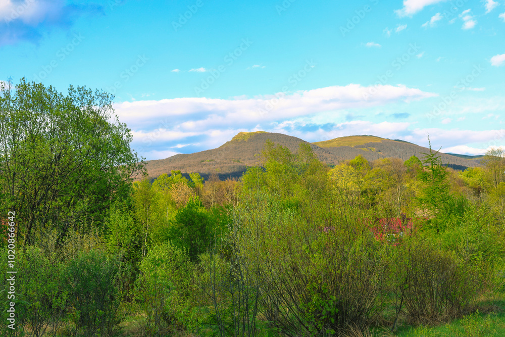 Obraz premium landscape in the mountains