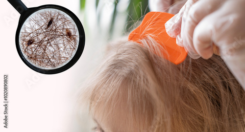 Close-up child's head with female hands searching for lice and nits in hair, combing through with orange comb for removal, Childhood and Parenting