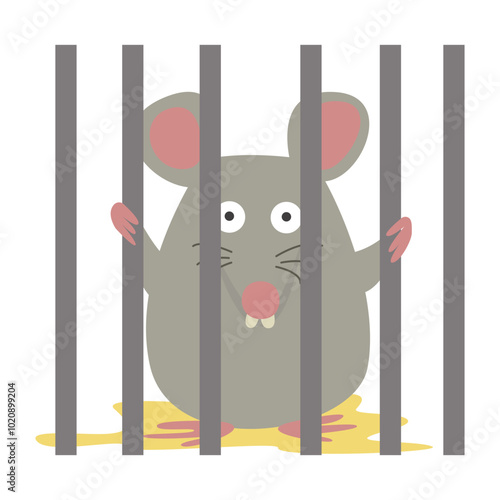leptospirosis infection disease from leptospira bacteria in rat urine