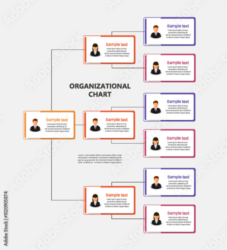 Corporate organizational chart with business avatar icons. Business hierarchy infographic elements