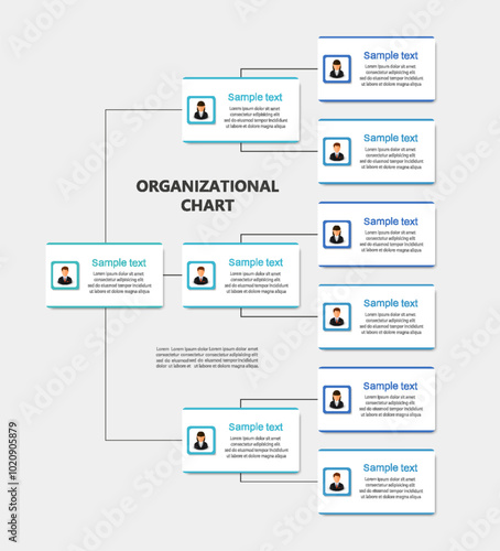 Corporate organizational chart with business avatar icons. Business hierarchy infographic elements