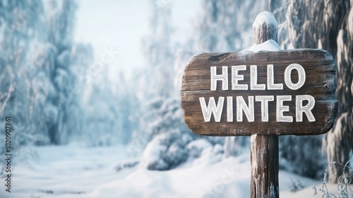 Hello Winter: Snow-Covered Sign Amongst Frosty Trees