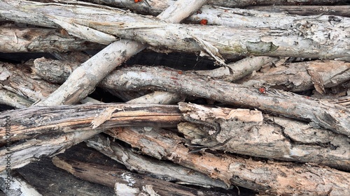 Pile of wood. Wood surface texture. Pile of pine firewoods. A stack of split firewood. 