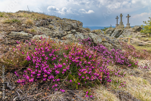 Krizky National Natural Monument, Western Bohemia, Czech Republic photo