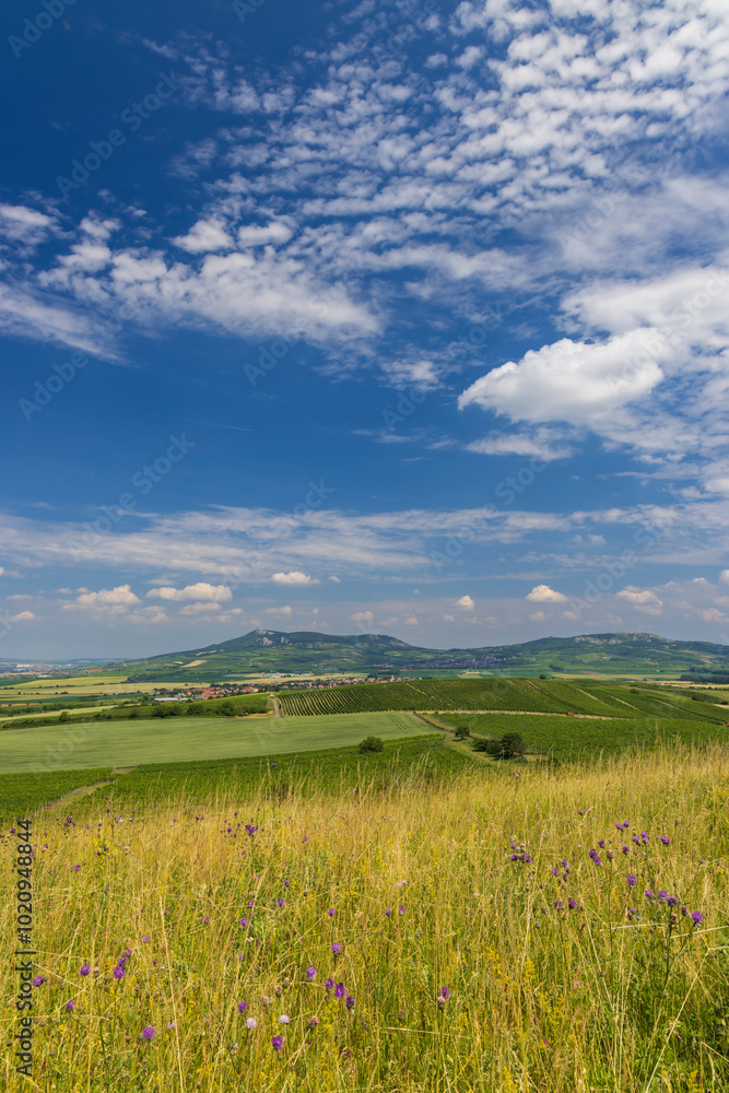 Vineyards under Palava, Southern Moravia, Czech Republic Vineyards under Palava, Southern Moravia, Czech Republic