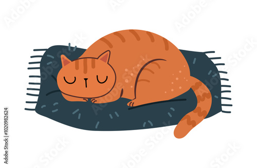 Cute cat sleeping on pet cushion. Vector isolated kitty asleep, lying on soft cozy pillow. Comfortable home animals furniture for felines. Cartoon character relaxing in cold winter season