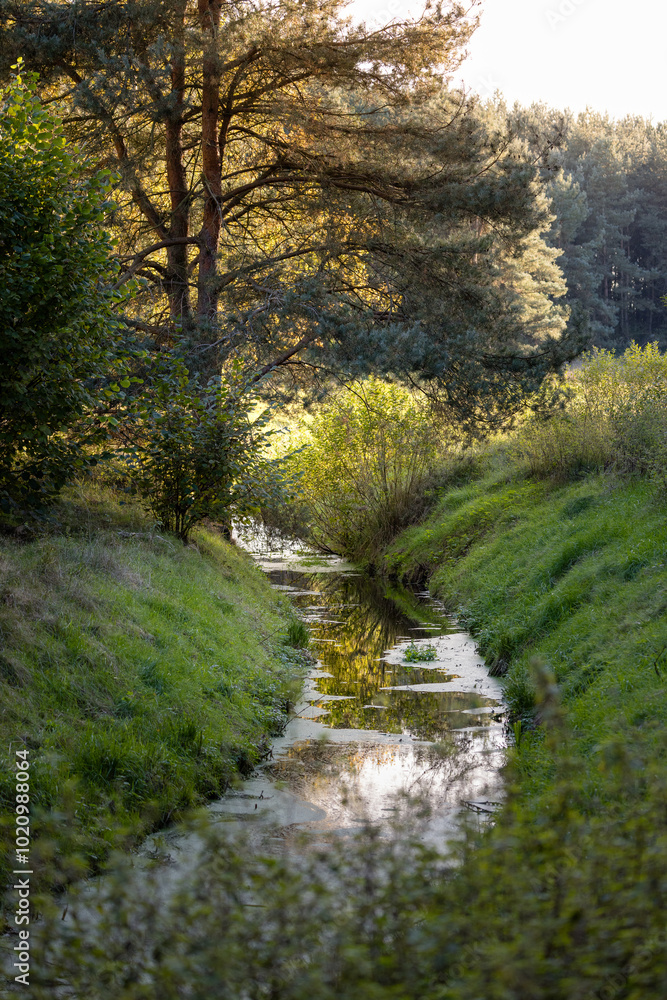 Obraz premium a calmly flowing river along the fields