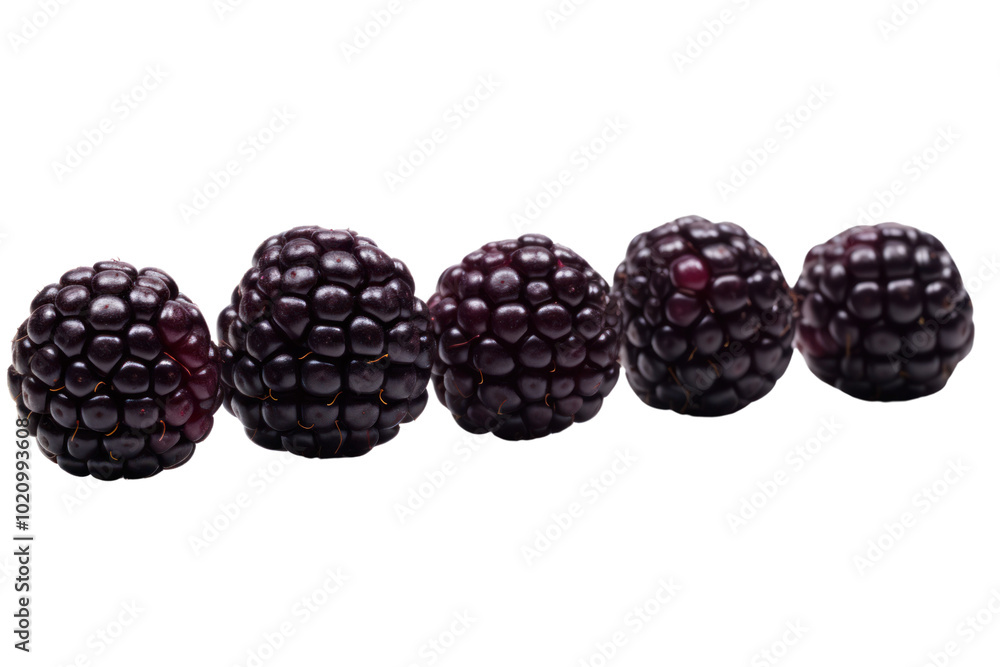 A row of perfectly shaped blackberries showing off their deep purple hue on a plain white background A row of perfectly shaped blackberries showing off their deep purple hue on a plain white background