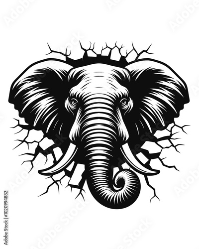 Wallpaper Mural Angry Elephant Torontodigital.ca