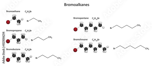 Canvas Print Set of Bromoalkanes, are organic compounds where hydrogen atoms in alkanes are replaced by bromine atoms