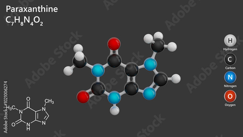 Paraxanthine (C7H8N4O2), or 1,7-dimethylxanthine, is a metabolite of caffeine. It acts as a stimulant, enhancing lipolysis and improving athletic performance. Gray background. 3d illustration photo