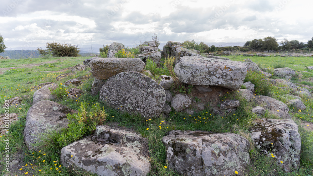 Tomb of the Giants of tanca 'e Suei in Norbello, central Sardinia Tomb of the Giants of tanca 'e Suei in Norbello, central Sardinia