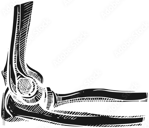 foot illustration bone silhouette hand logo anatomy icon skeleton outline medical human body knee health medicine x-ray arm chest shape and vector graphic background