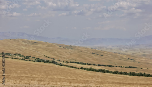 Wallpaper Mural Peaceful Rural Landscape With Rolling Hills and Trees Torontodigital.ca