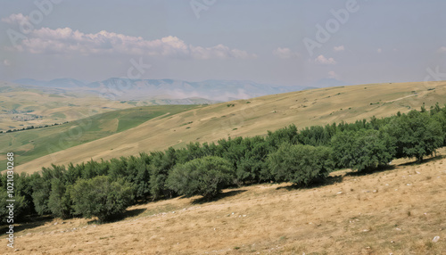 Wallpaper Mural Peaceful Rural Landscape With Rolling Hills and Trees Torontodigital.ca