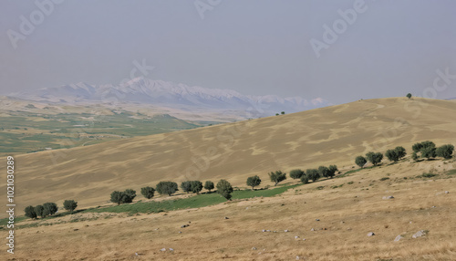 Wallpaper Mural Peaceful Rural Landscape With Rolling Hills and Trees Torontodigital.ca