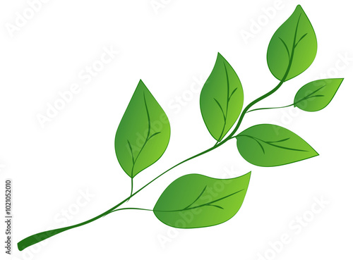 A green leafy branch with detailed leaves, presented in a vibrant graphic style, against a white background. Vector illustration