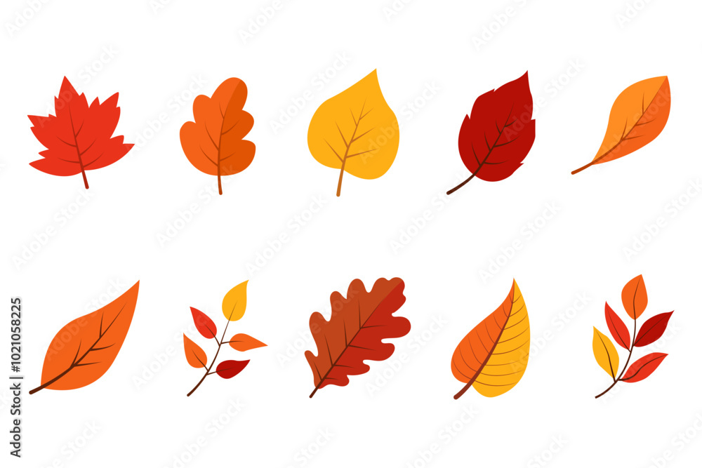 Autumn Leaves Illustration SET Autumn Leaves Illustration SET