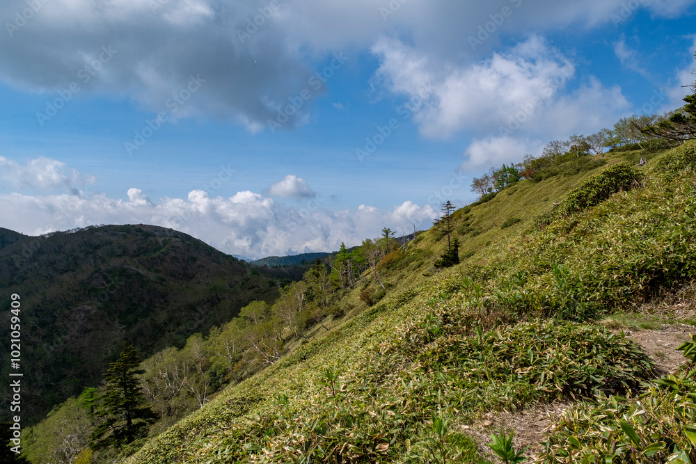Obraz premium 五色山へ続く登山道 栃木県日光市日光国立公園
