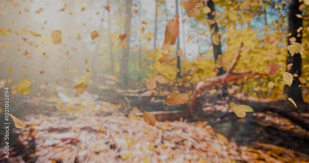The camera smoothly glides over the forest floor as falling leaves drift in the air, creating a magical autumn atmosphere. The scene perfectly captures the beauty of nature in motion. The camera smoothly glides over the forest floor as falling leaves drift in the air, creating a magical autumn atmosphere. The scene perfectly captures the beauty of nature in motion.