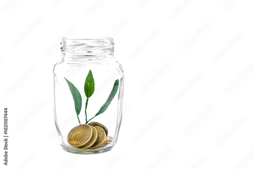 Glass jar with plant sprout inside and coins on transparent background. Money growth and storage concept Glass jar with plant sprout inside and coins on transparent background. Money growth and storage concept
