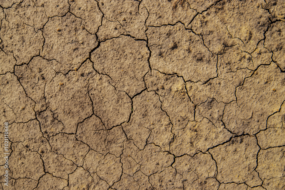 Fototapeta premium Texture dry cracked soil. Selective focus.