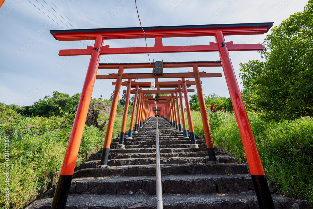 浮羽稲荷神社境内に並ぶ鳥居　福岡県うきは市城ヶ鼻公園