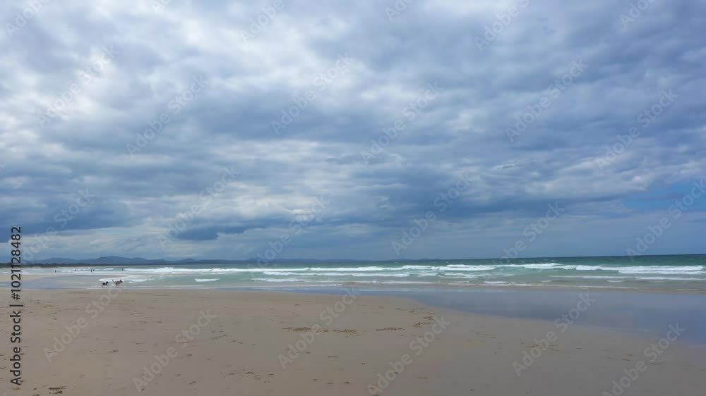 Dogs running on the beach in New South Wales, Australia. Dogs running on the beach in New South Wales, Australia.