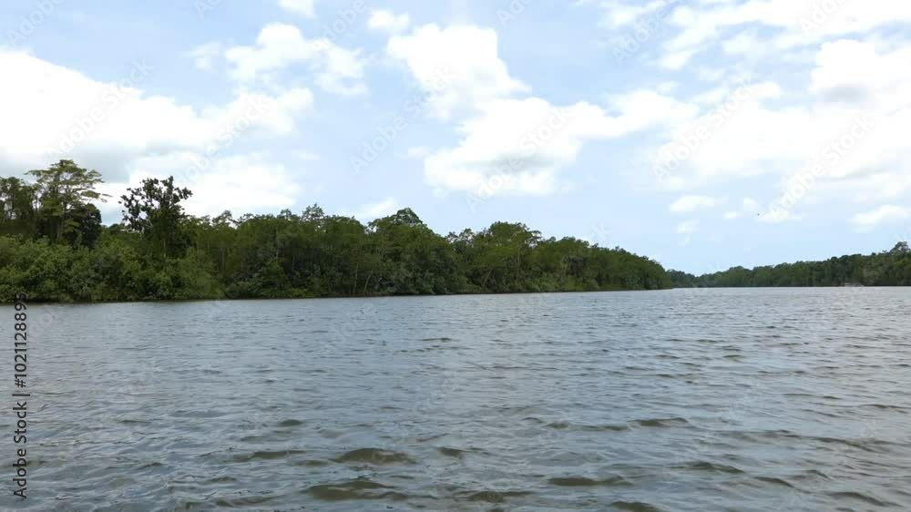 Panoramic view of the Daintree River from the boat, Queensland, Australia. Panoramic view of the Daintree River from the boat, Queensland, Australia.