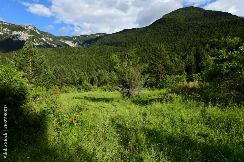 Naklejka premium Naturlandschaft von Masna Luka im Čvrsnica-Gebirge - Naturpark Blidinje, Bosnien und Herzegowina