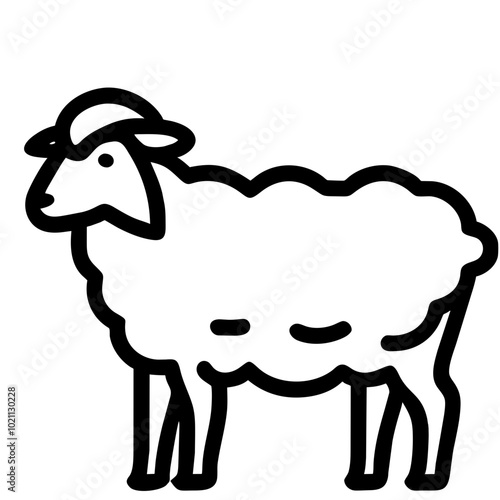 sheep