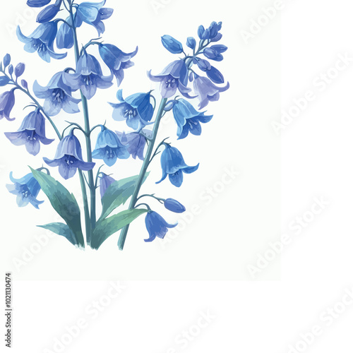 watercolor delphinium flower