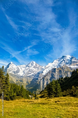 Idyllic summer panorama landscape in the Alps with fresh green meadows and snowcapped mountain tops in the background. Switzerland