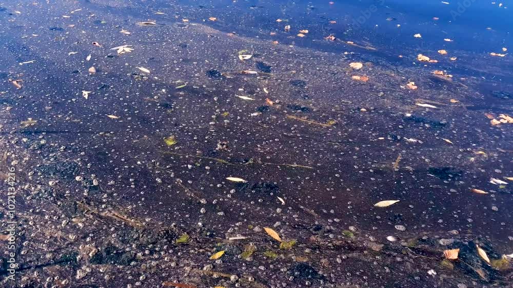 A polluted body of water, river, water. Garbage water,pollution of nature,environment,lakes. A polluted body of water, river, water. Garbage water,pollution of nature,environment,lakes.