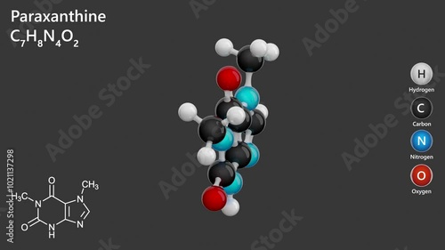 Molecule of Paraxanthine (C7H8N4O2), or 1,7-dimethylxanthine, is a metabolite of caffeine. It acts as a stimulant, enhancing lipolysis and improving athletic performance. Gray background. 3d render photo