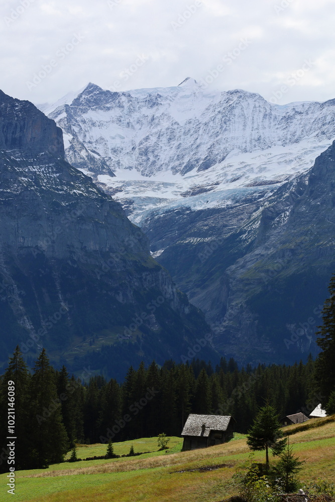 Mountain landscape on a hiking trail from Grindelwald to Bachalpsee, Switzerland Mountain landscape on a hiking trail from Grindelwald to Bachalpsee, Switzerland