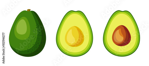 Set of fresh and ripe avocados in cartoon style. Vector illustration of delicious avocado whole and half with and without pit isolated on white background.Useful and nutritious avocados.Healthy snack.