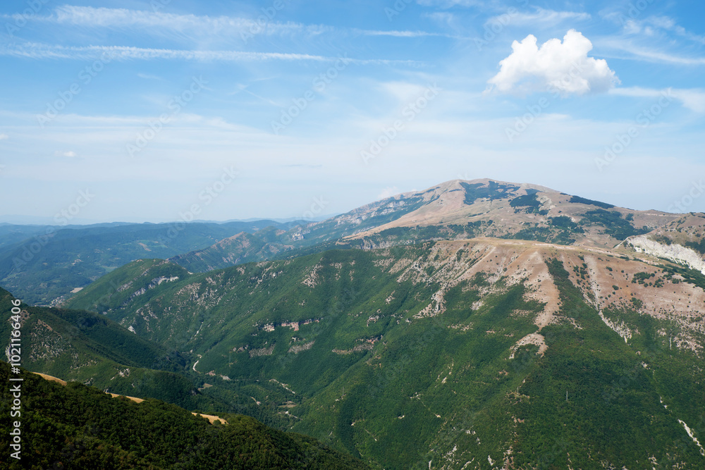Naklejka premium view from the mountain