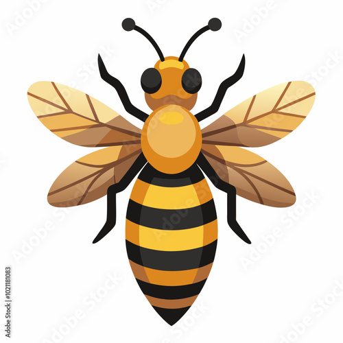 bee vector illustration